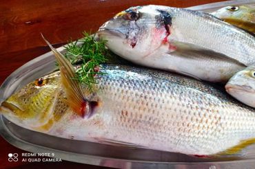Apartments Perić Marija, fresh fish San Marino